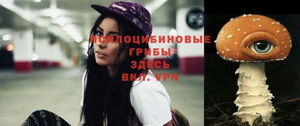 спиды Алзамай